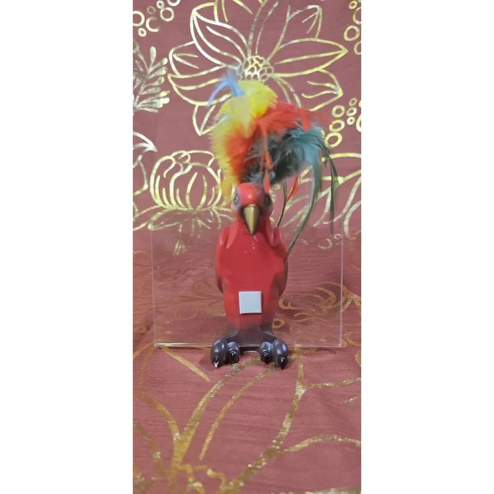 Rare Tropical Parrot 4x6 Picture Holder