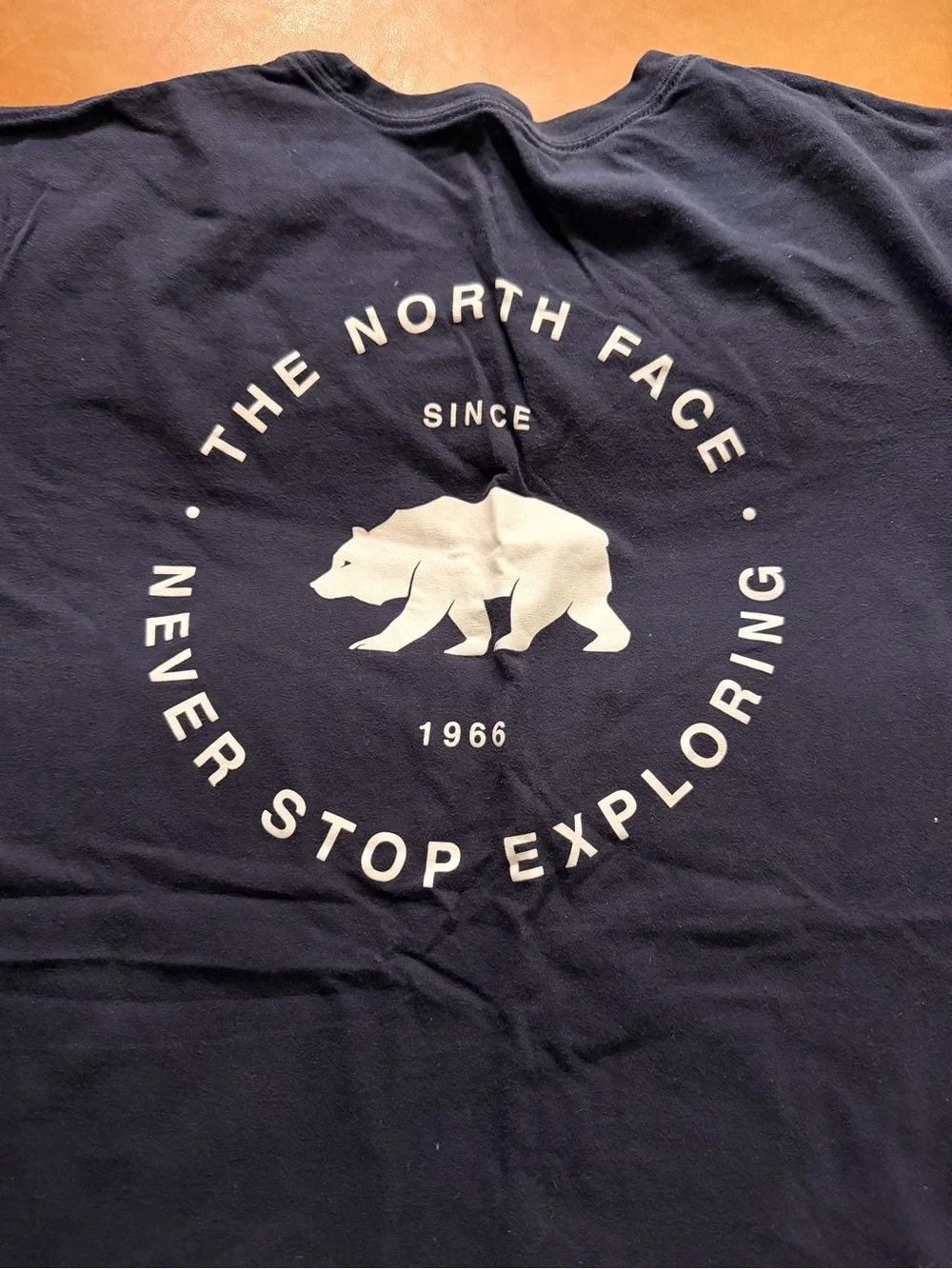 The North Face Men’s 