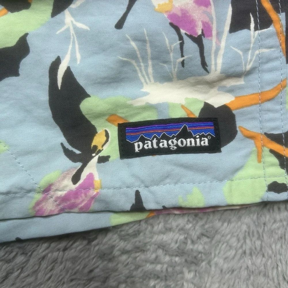 Patagonia baggies shorts