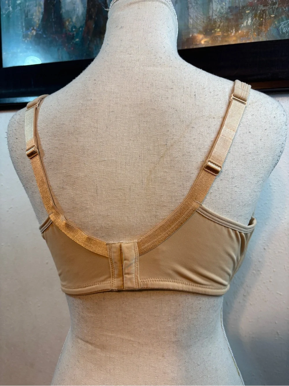 Essential Bodywear everyday full