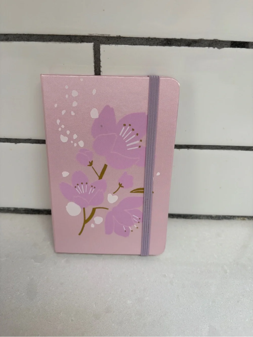 Moleskine reposhing this