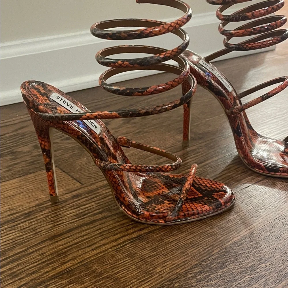 Steve Madden bold snakeskin