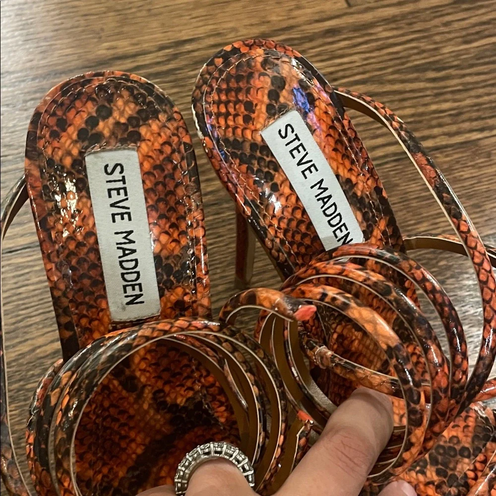 Steve Madden bold snakeskin