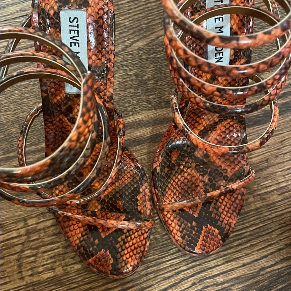 Steve Madden bold snakeskin