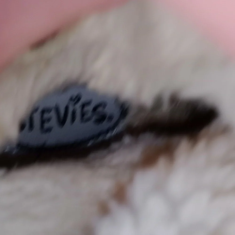Stevies good used