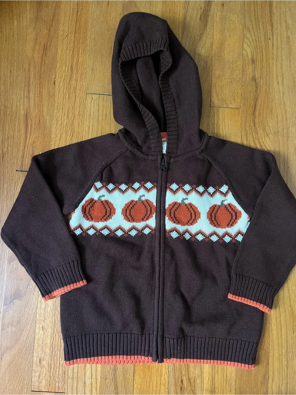 Gymboree Pumpkin Zip up Sweater