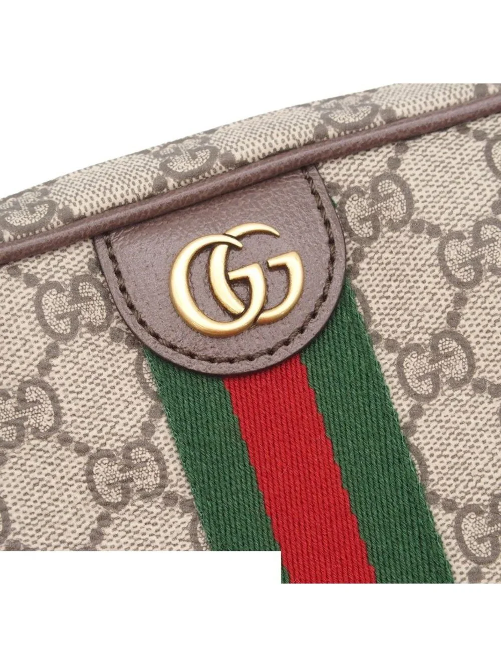 Gucci brand ophidia