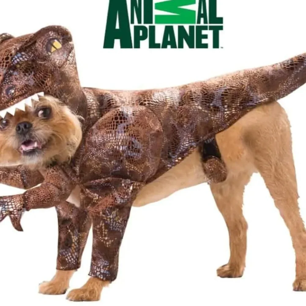 Animal Planet Raptor Dog Costume, Size Small, Item# PET20109‎