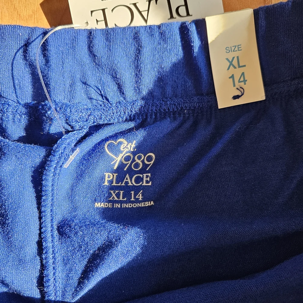 The Childrens Place blue skirt