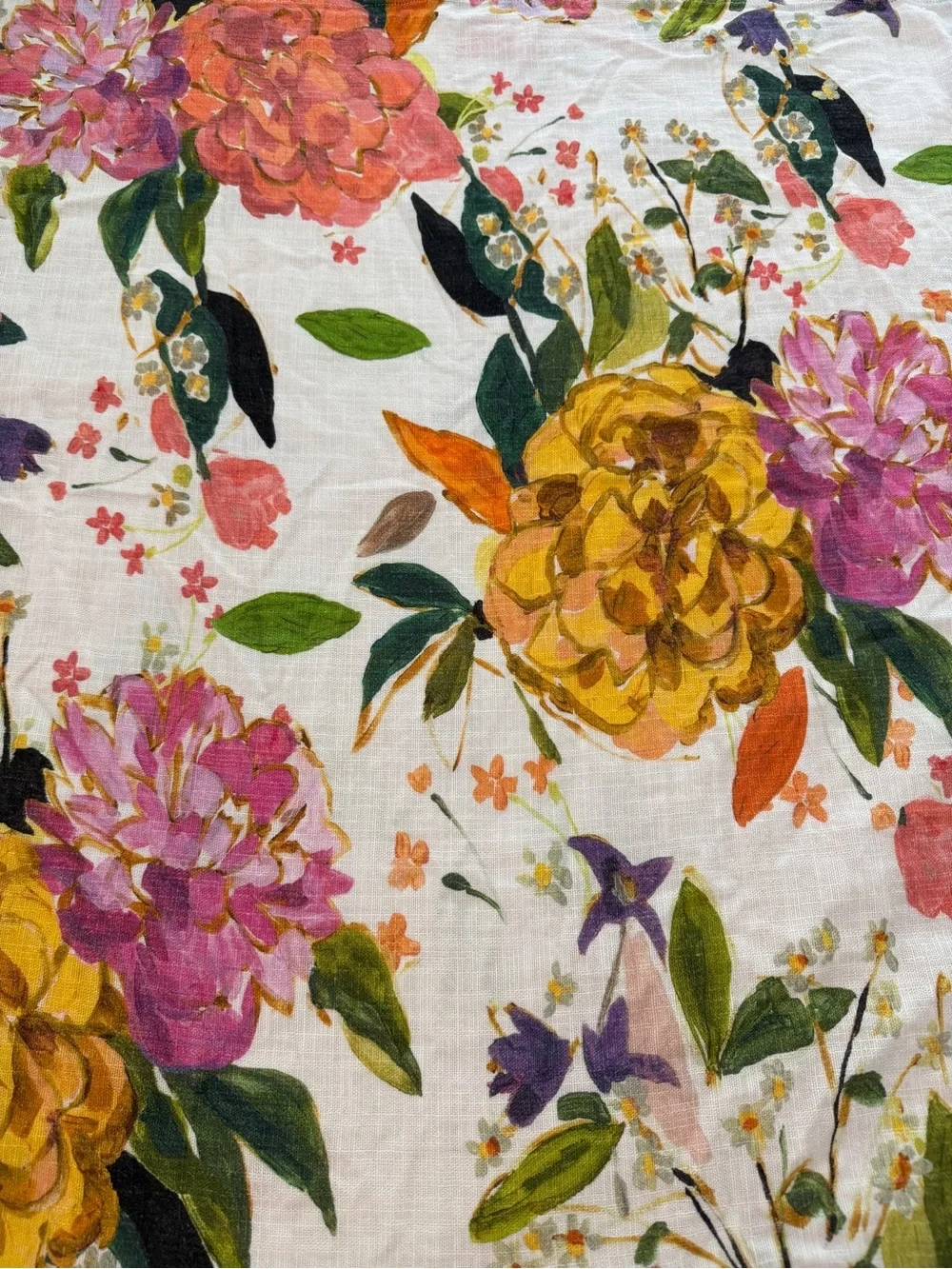 Anthropologie measures approx