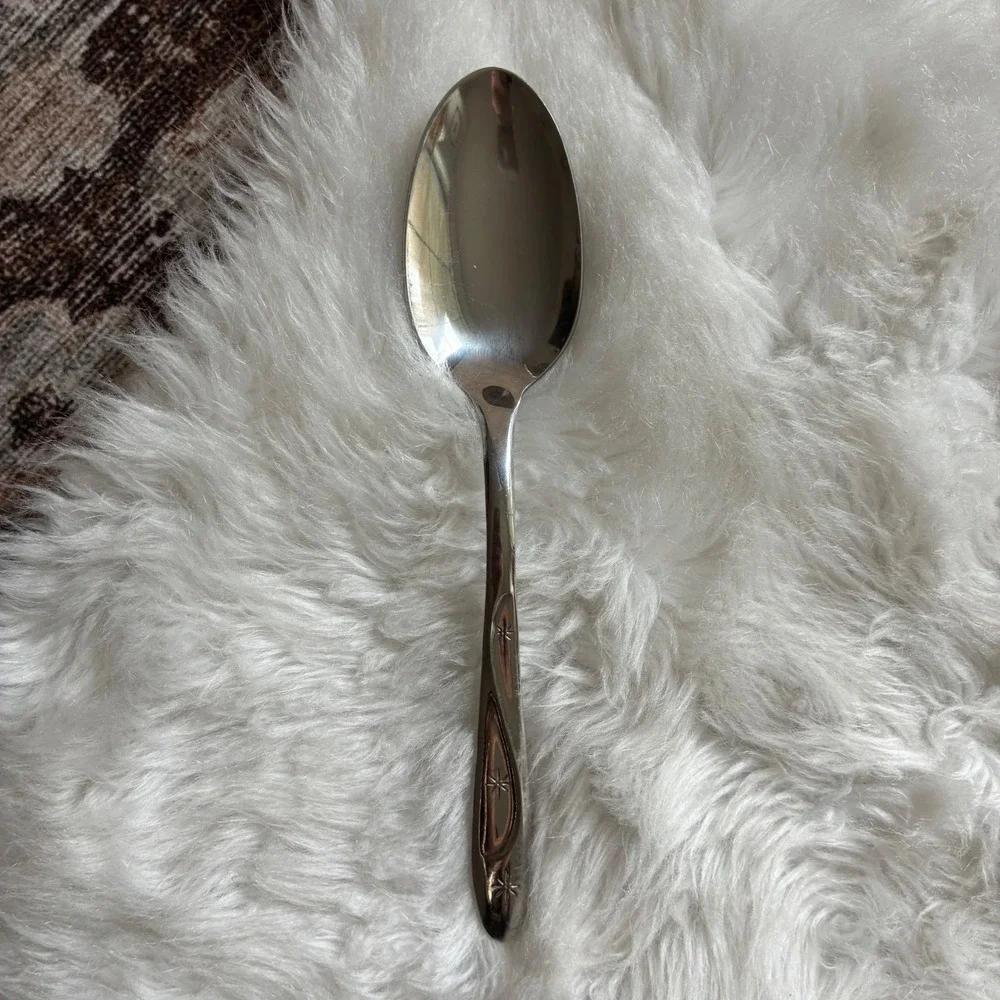 International Silver Americana Star Serving Spoon Vintage 1950s MCM Stainless