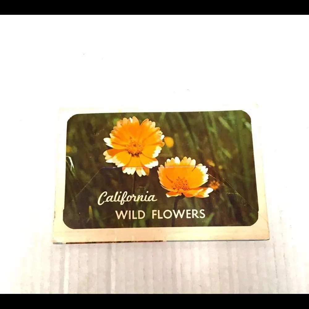 Vintage california wildflower