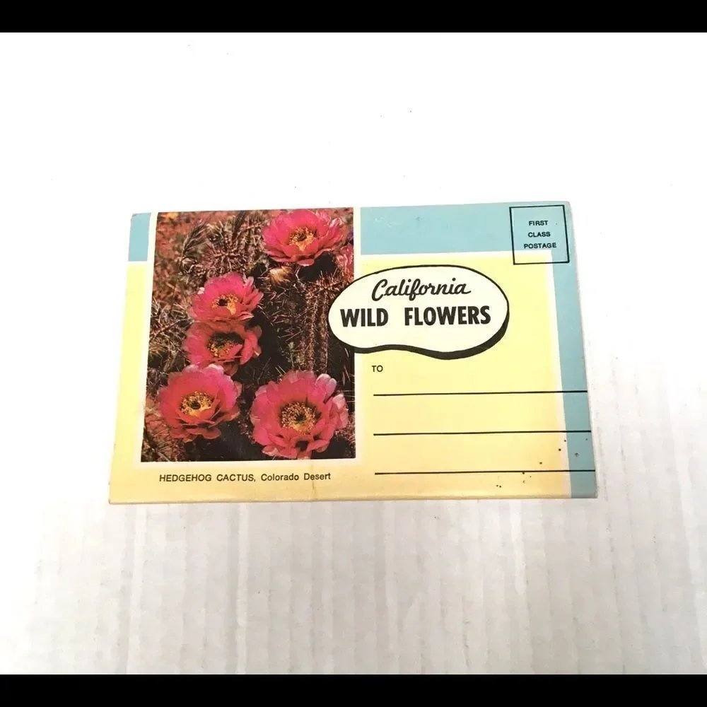 Vintage california wildflower