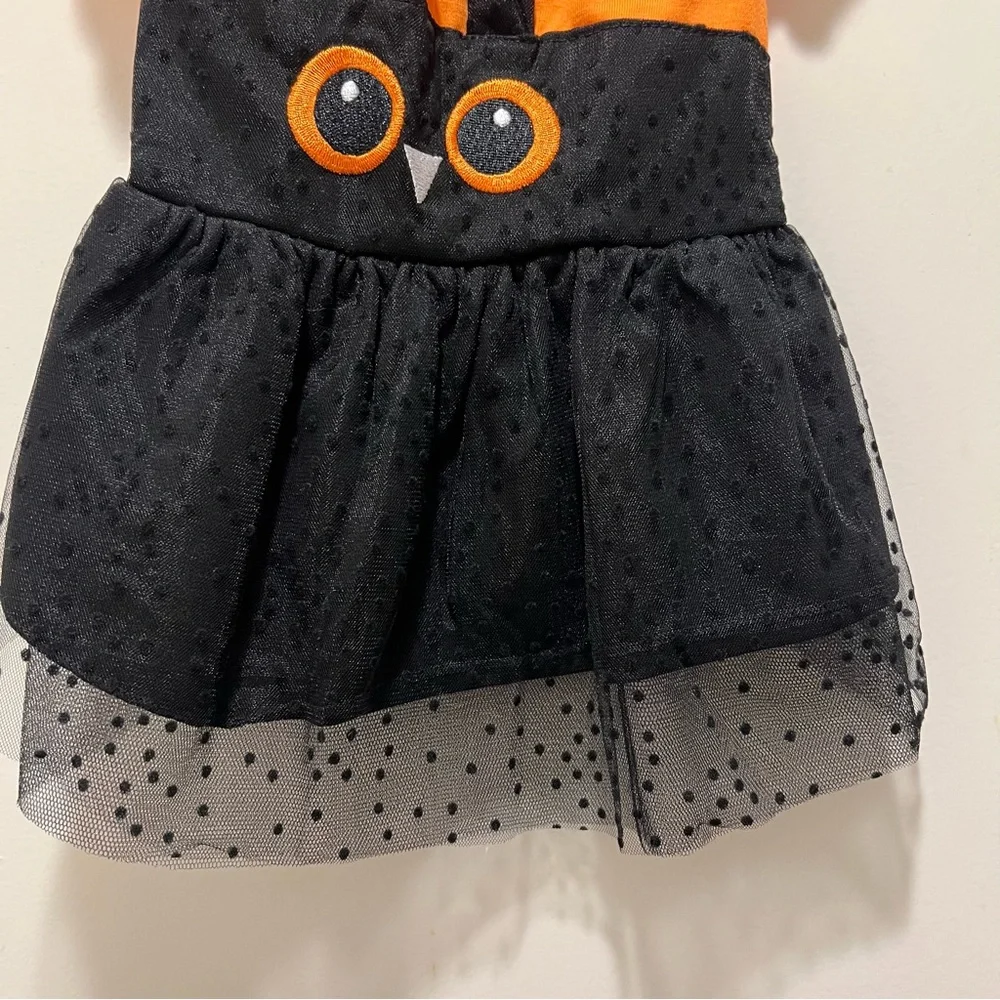 N/A halloween owl