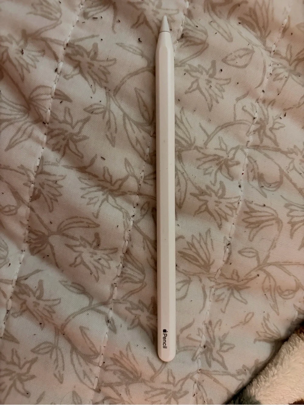 Apple 2nd gen