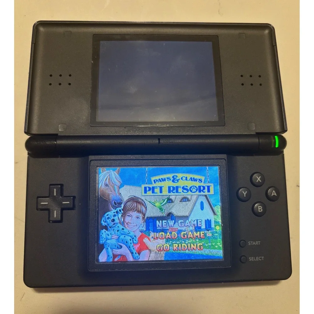 Nintendo this ds