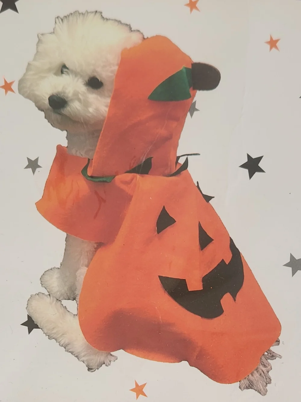 Pumpkin Dog Halloween Costume - Orange Hooded Jack-O'-Lantern S/M