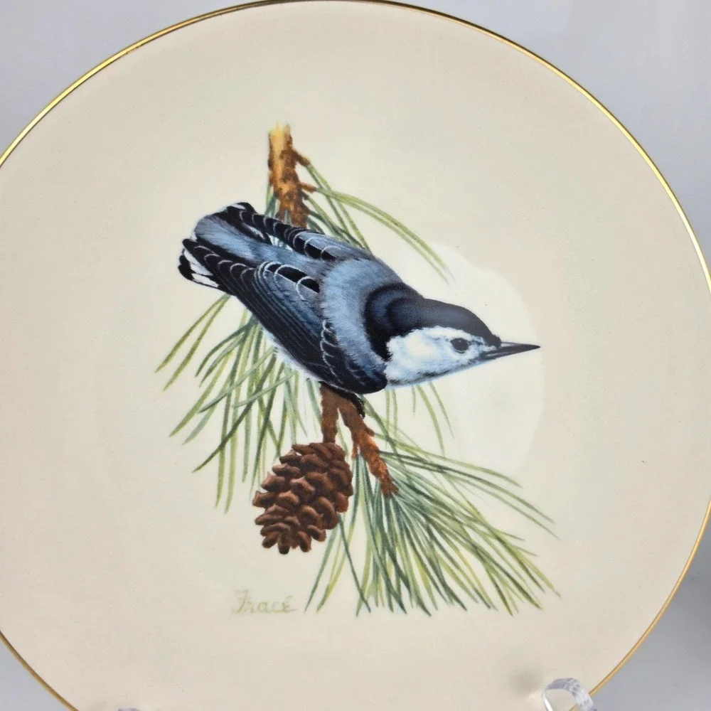 National Wildlife Federation cobalt bluebird