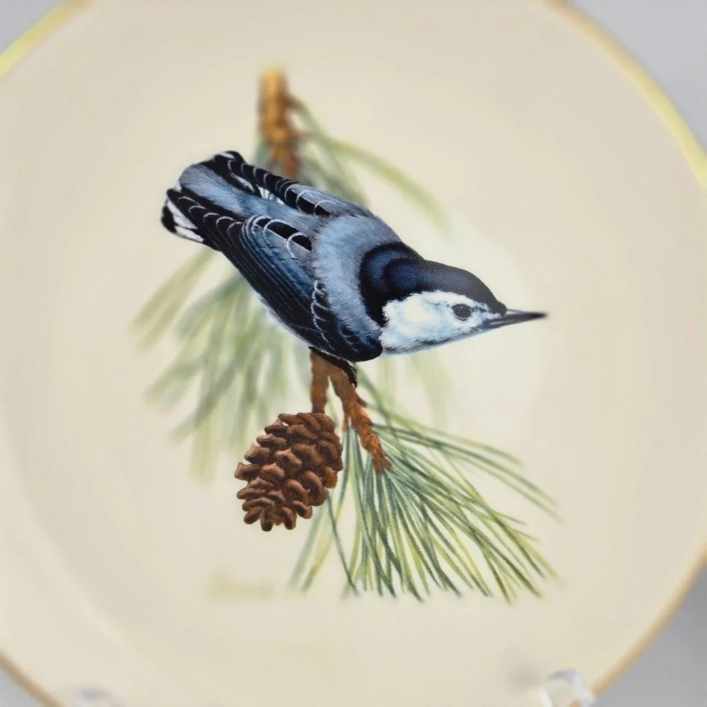 National Wildlife Federation cobalt bluebird