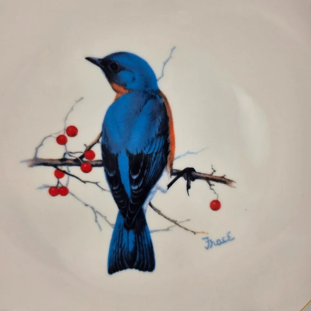 National Wildlife Federation cobalt bluebird