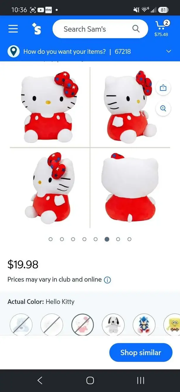 Sanrio retail you