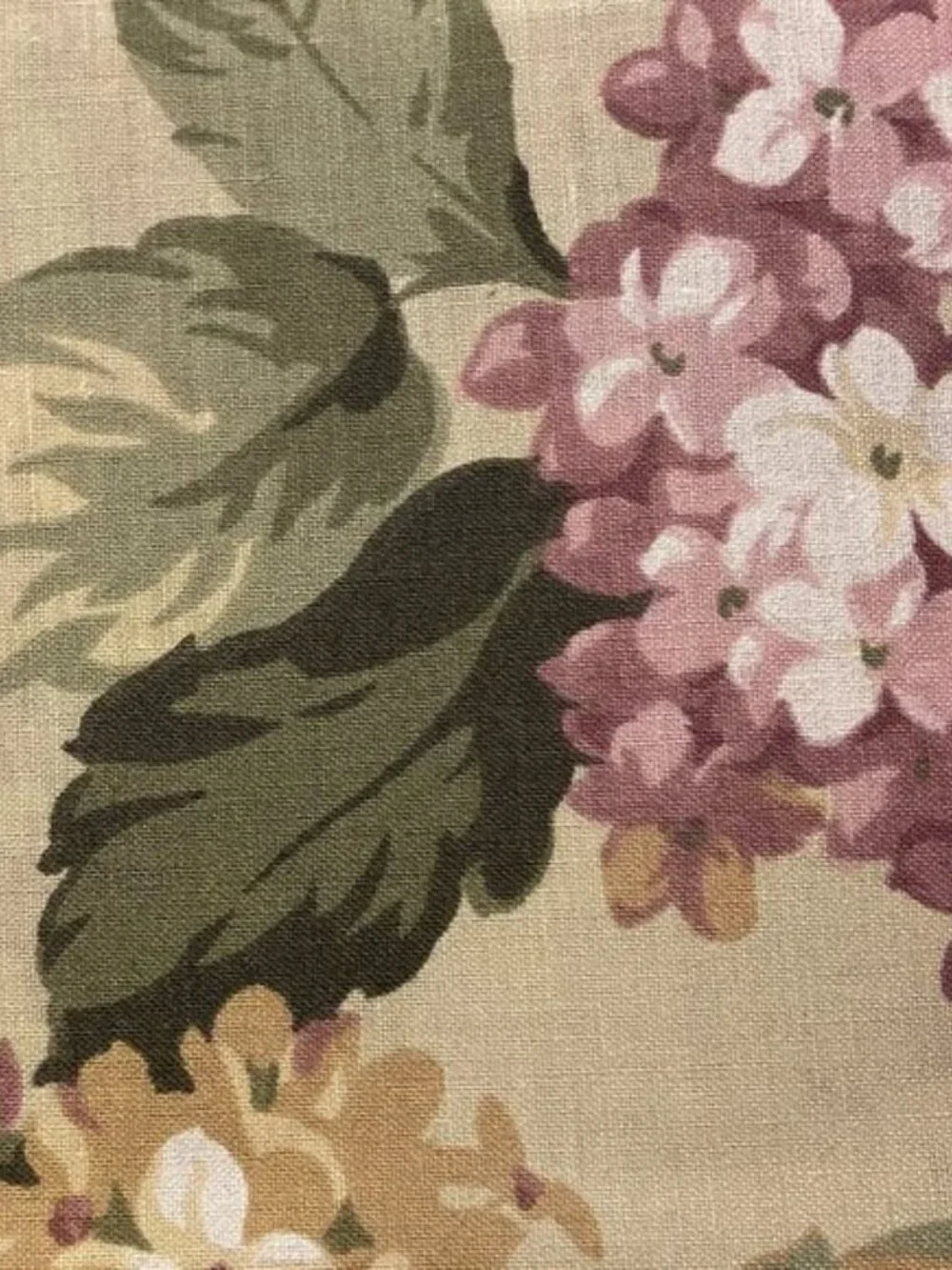 Martha Stewart martha stewart