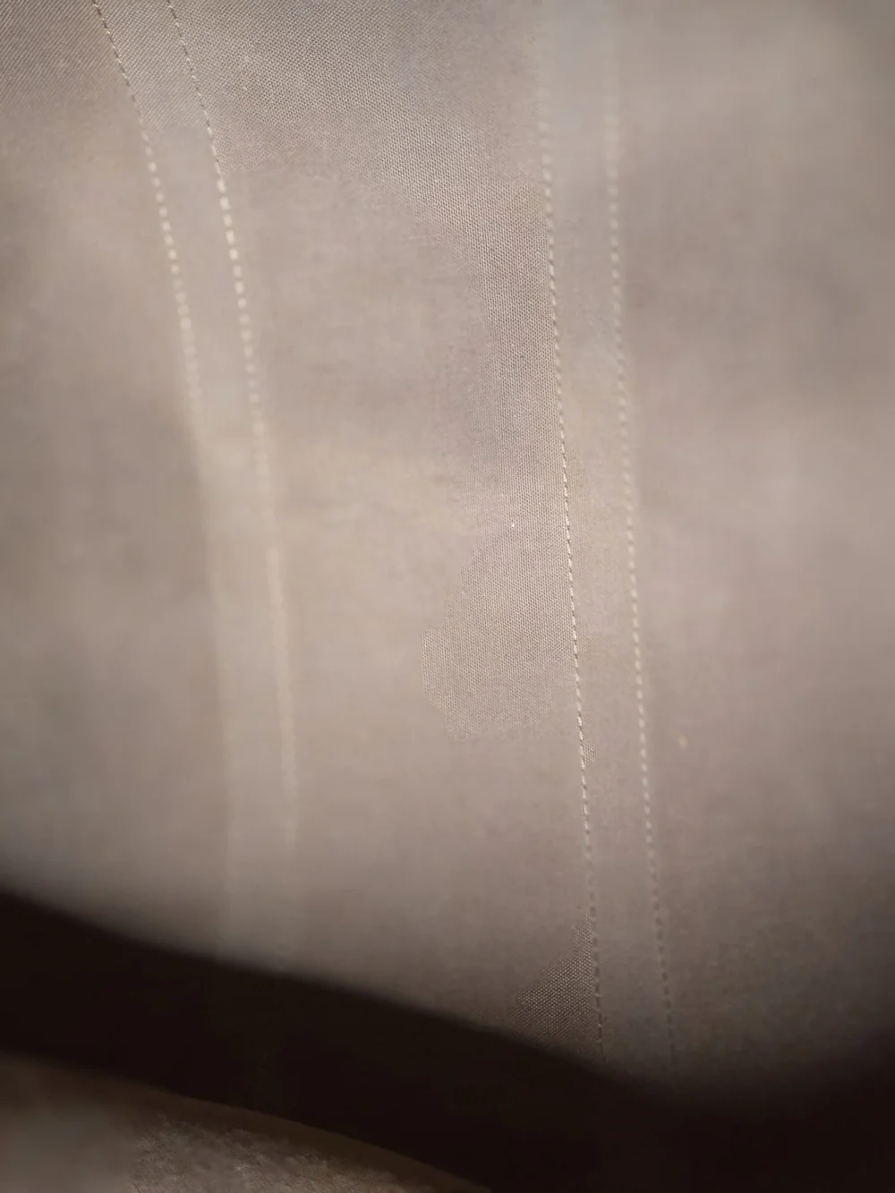Louis Vuitton authentic louis