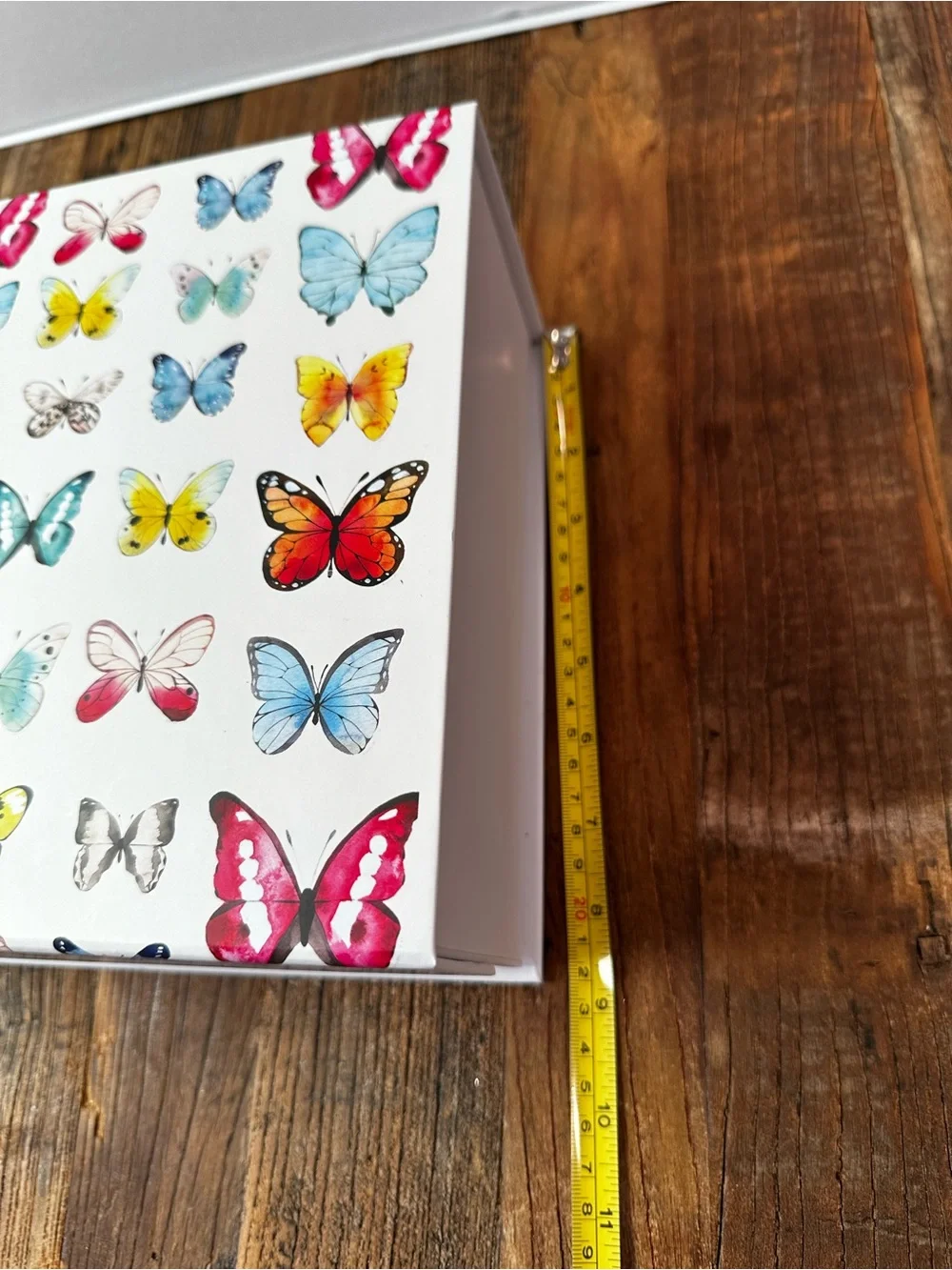 N/A cute butterfly