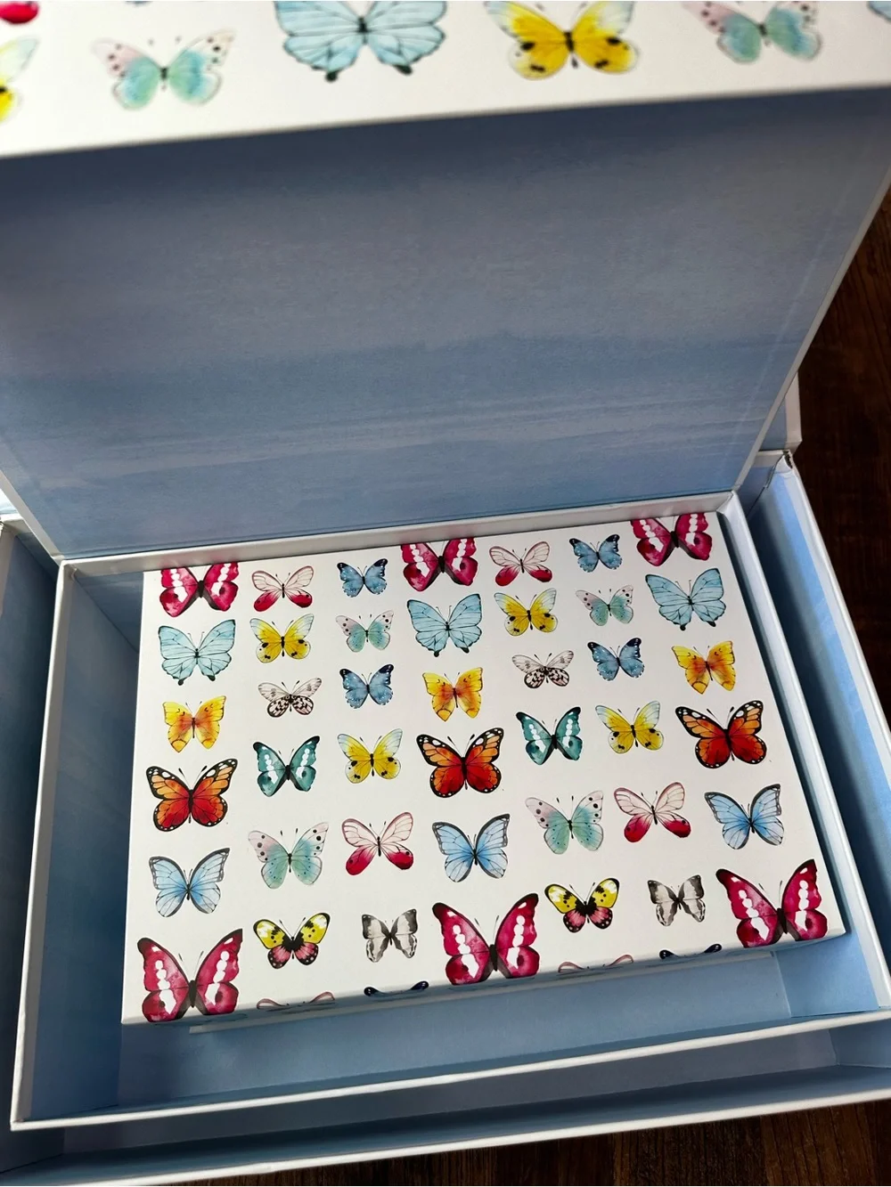 N/A cute butterfly