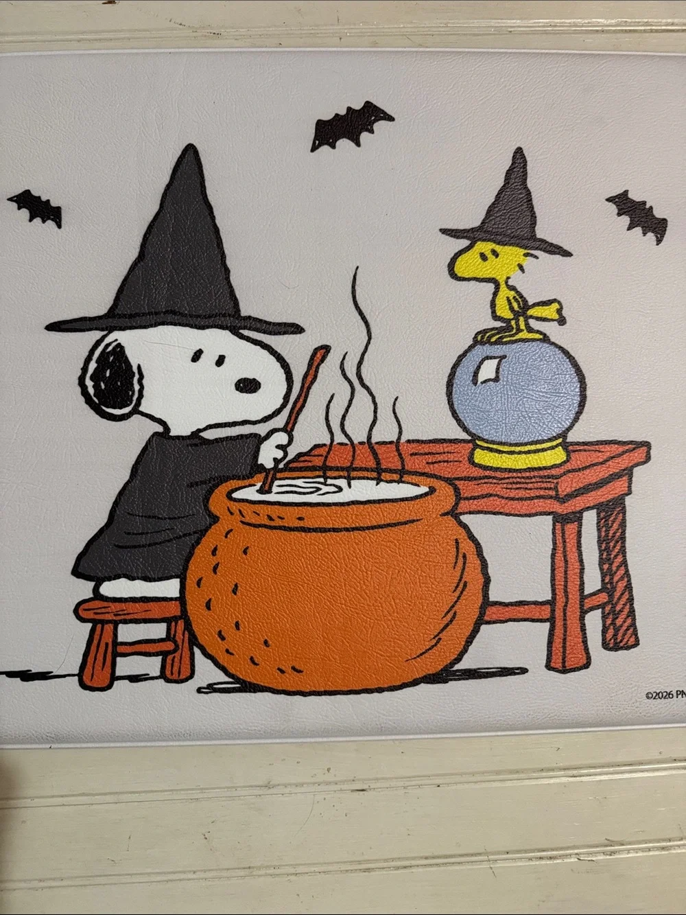 Peanuts artwork snoopy