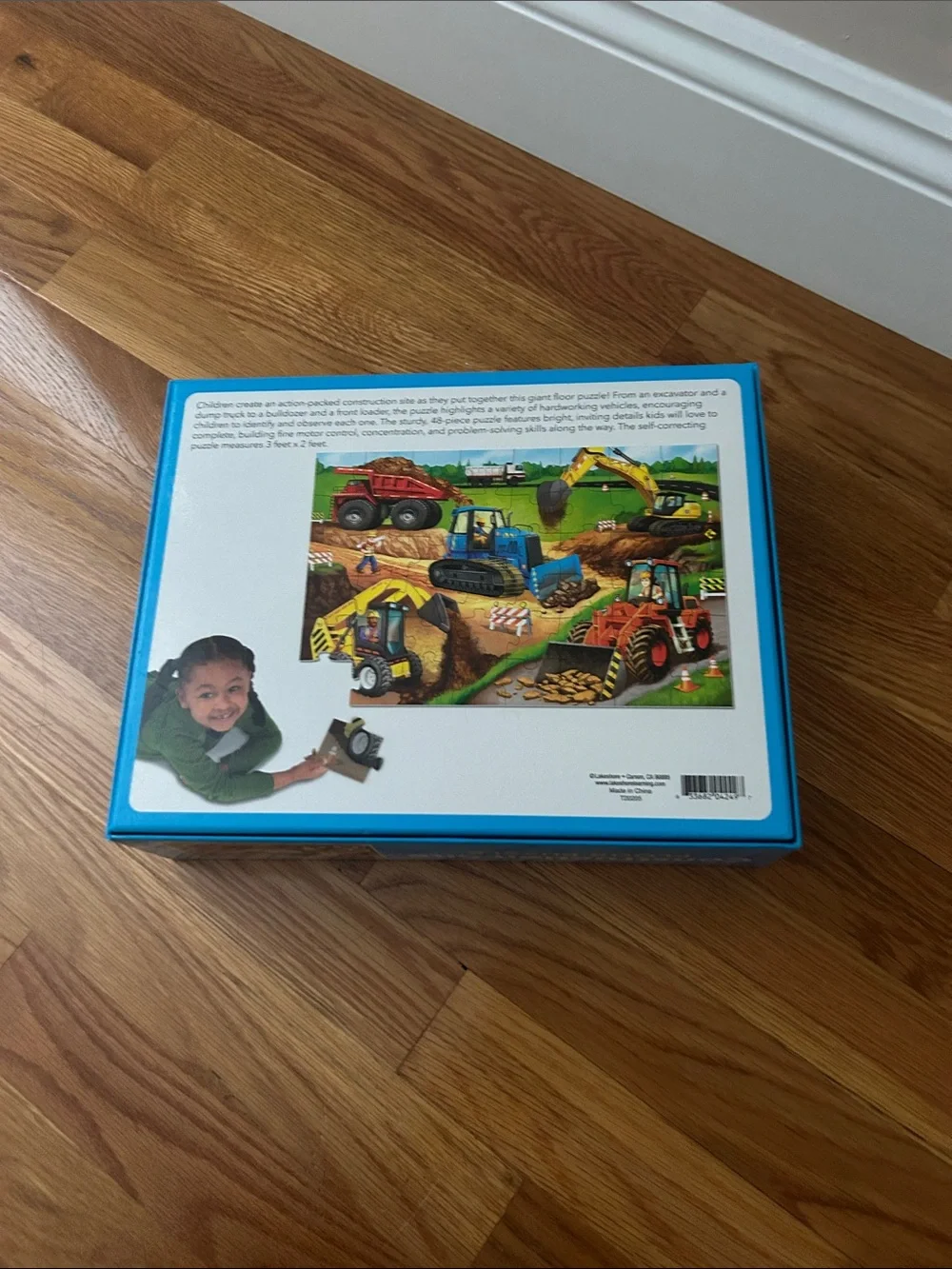 Lakeshore floor puzzle