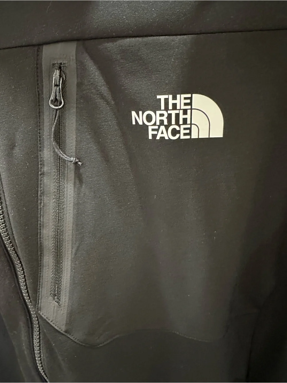 The North Face brand north