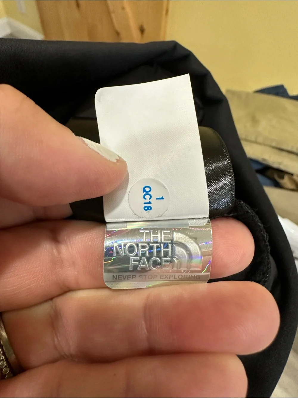 The North Face brand north