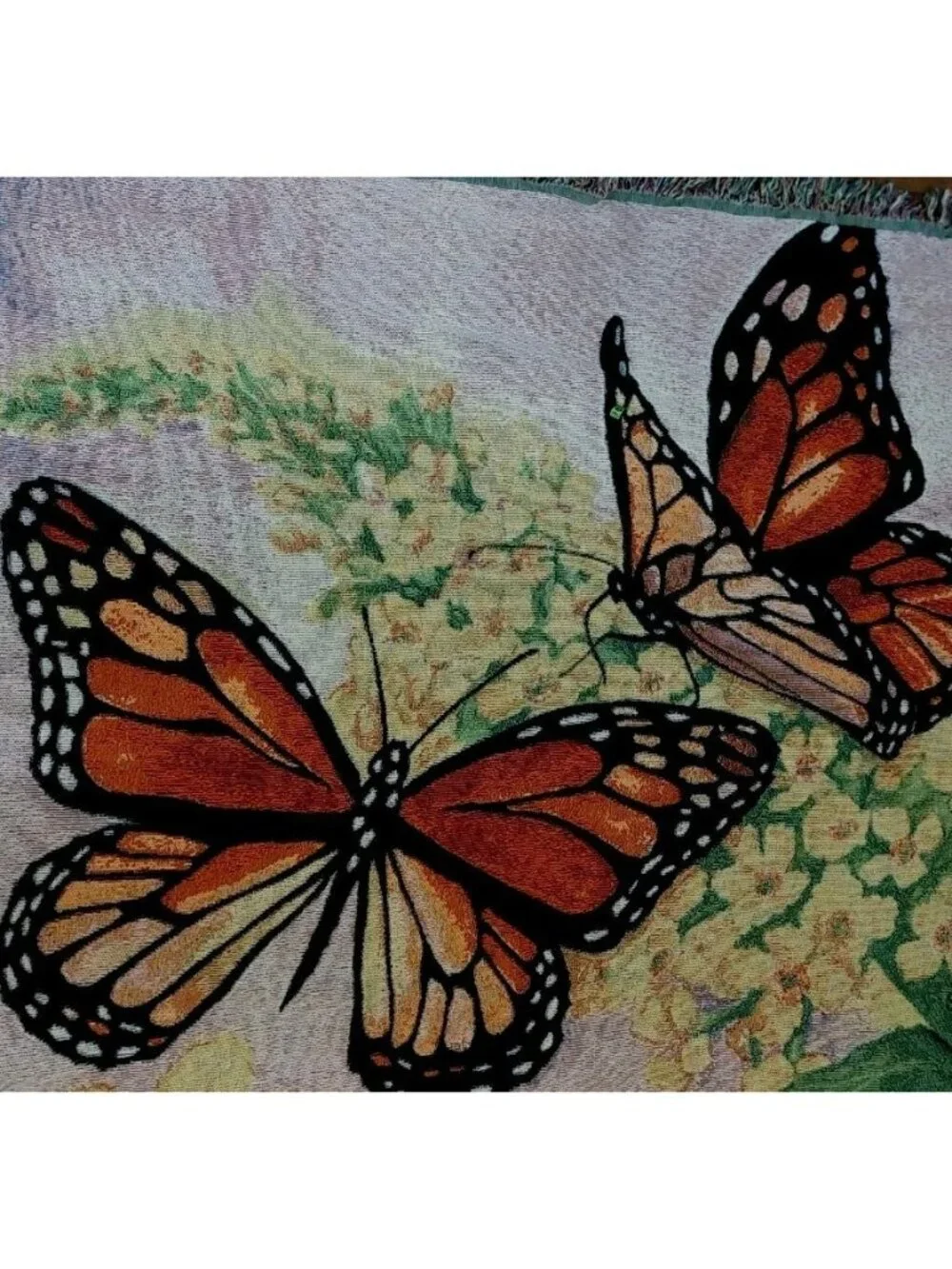 Butterfly please see