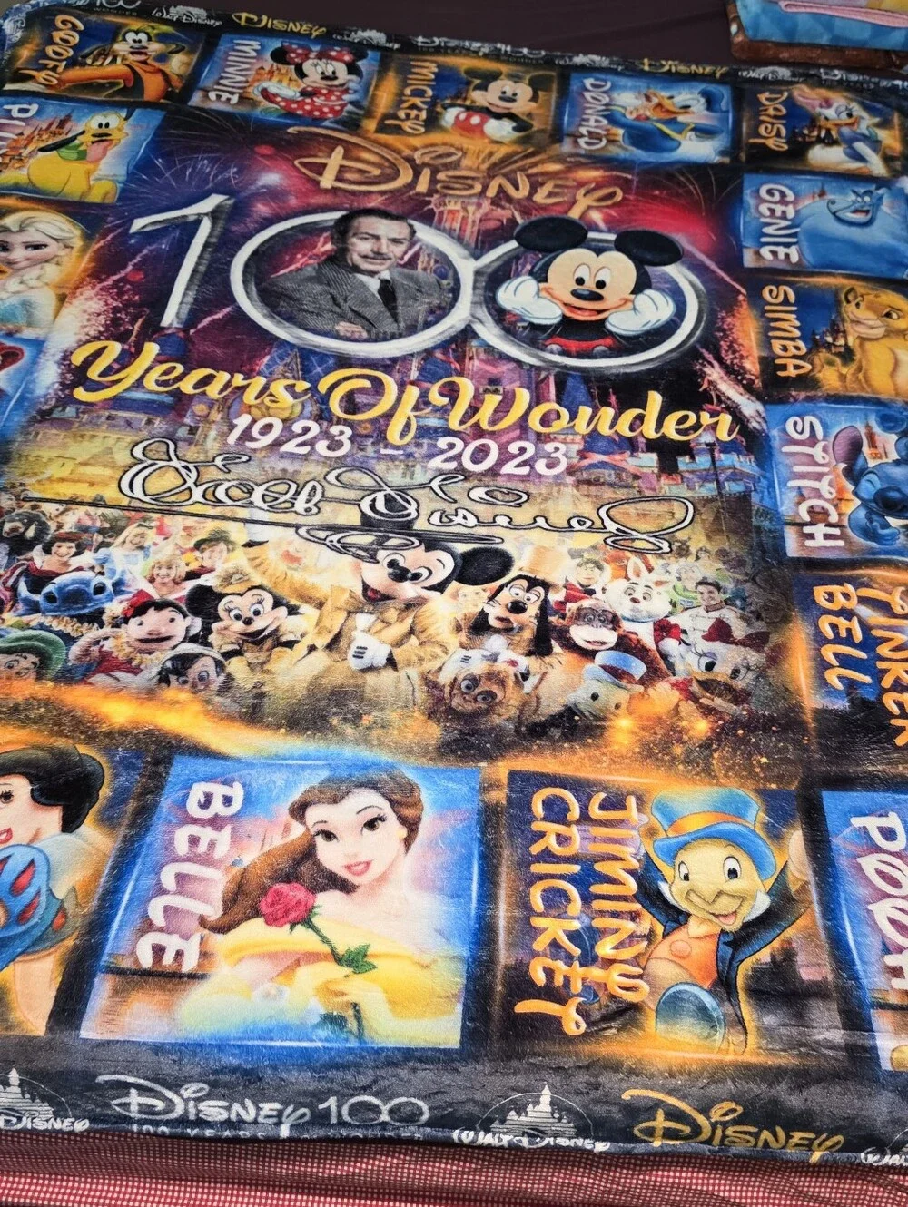 Disney celebrate this