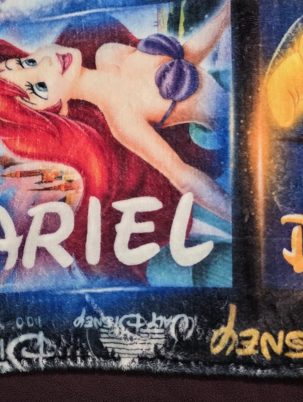 Disney celebrate this