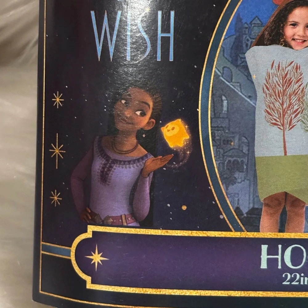 Disney wish valentino