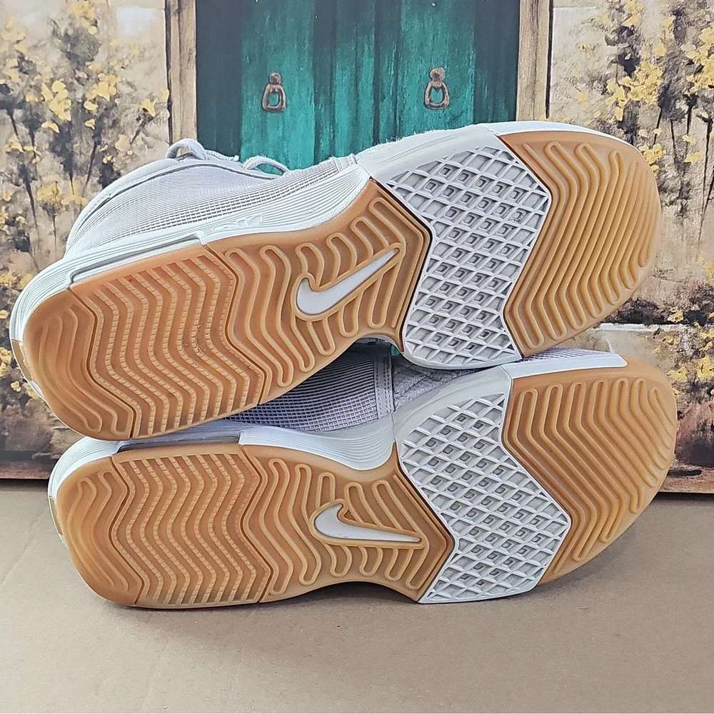 Nike lebron witness