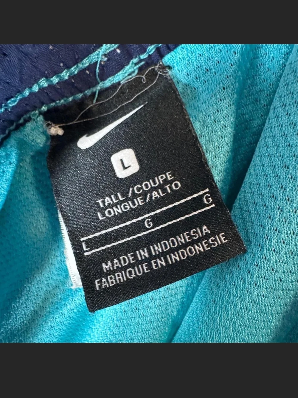 Nike swim trunks