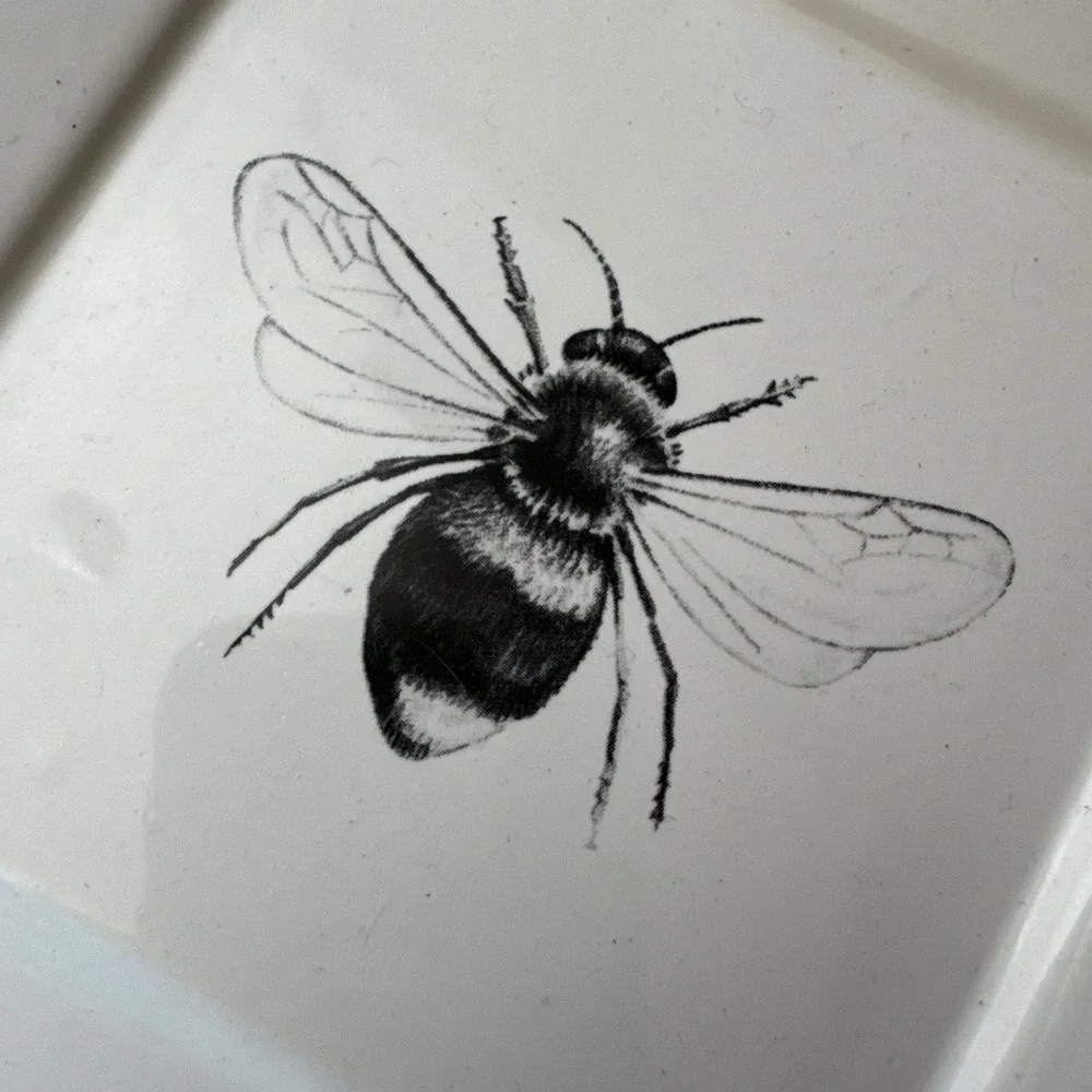 The Unbranded Brand square bee