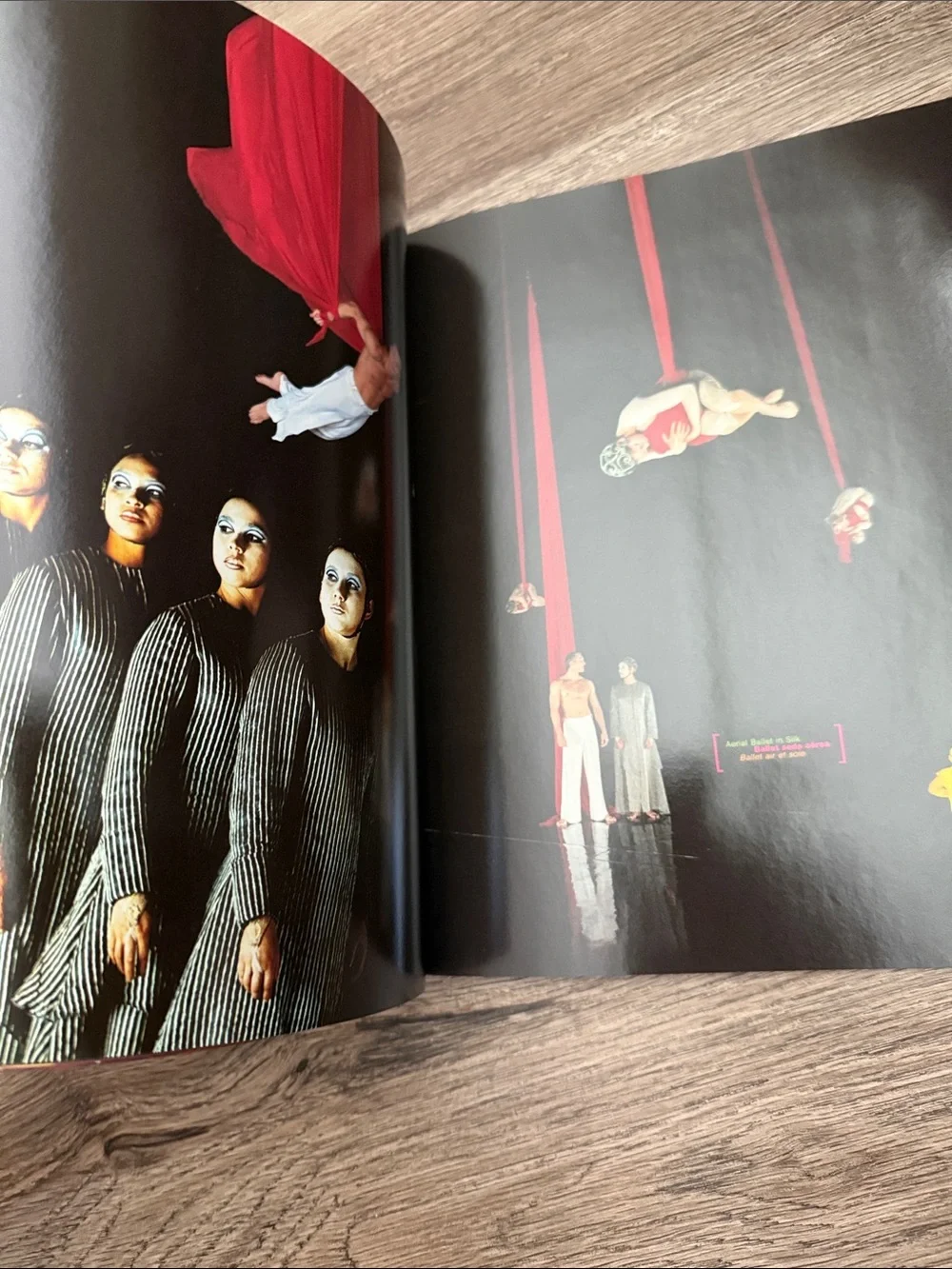 Cirque Du Soleil vintage cirque