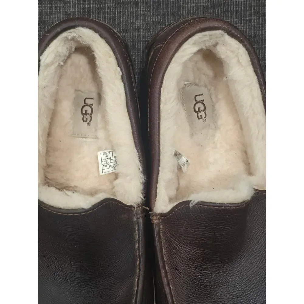 Ugg ascot men