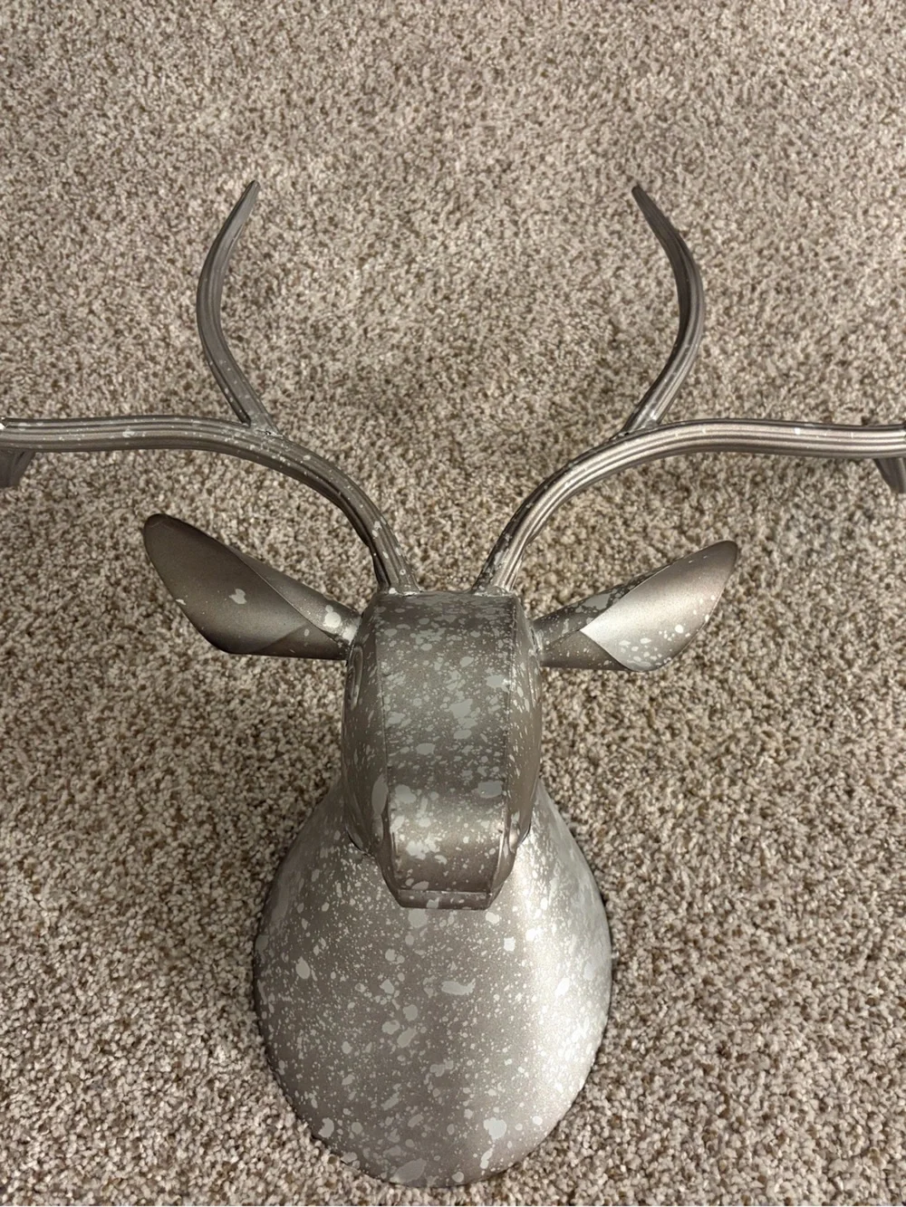 N/A stylish antelope