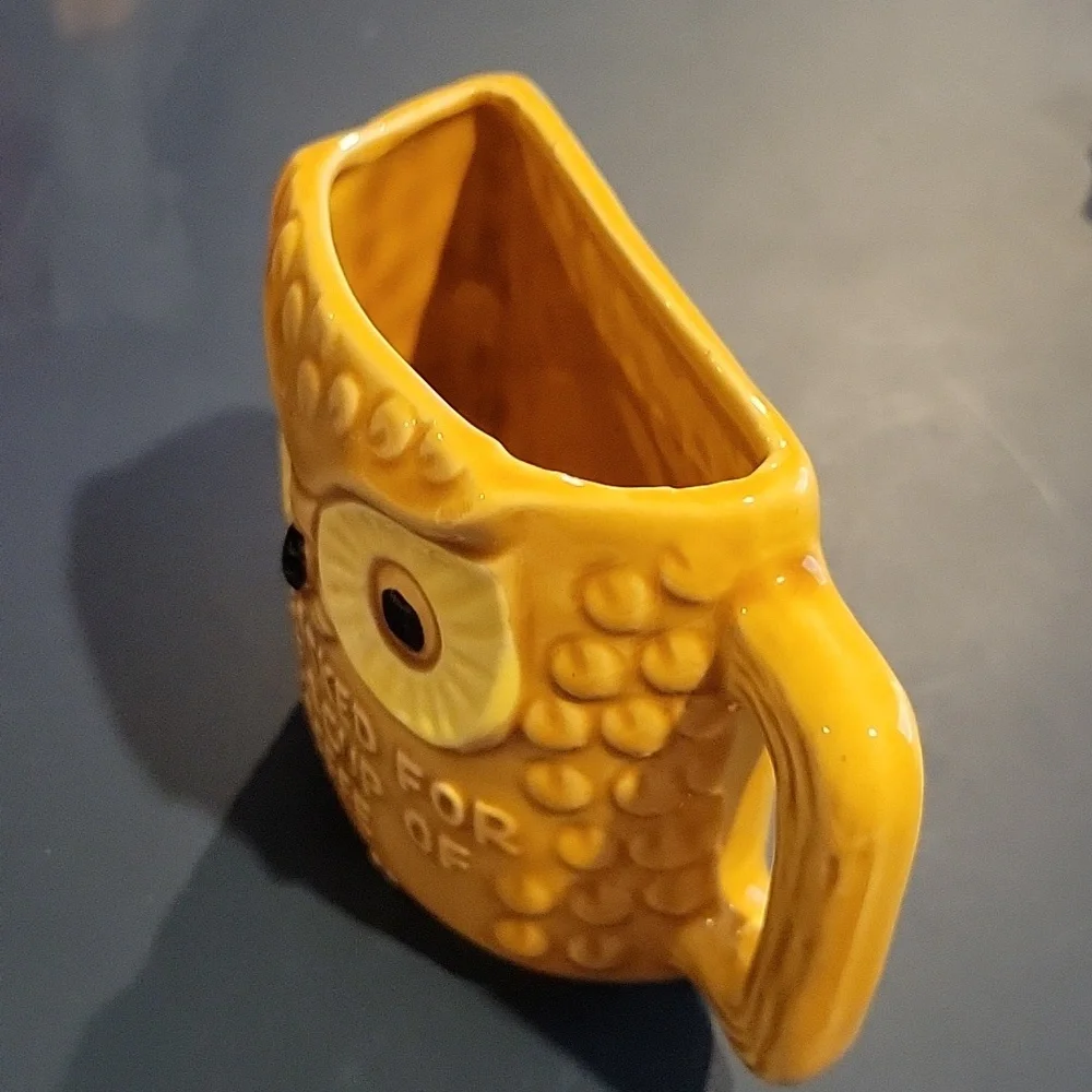 💋5/$25 Owl Funny 1/2 cup coffee mug