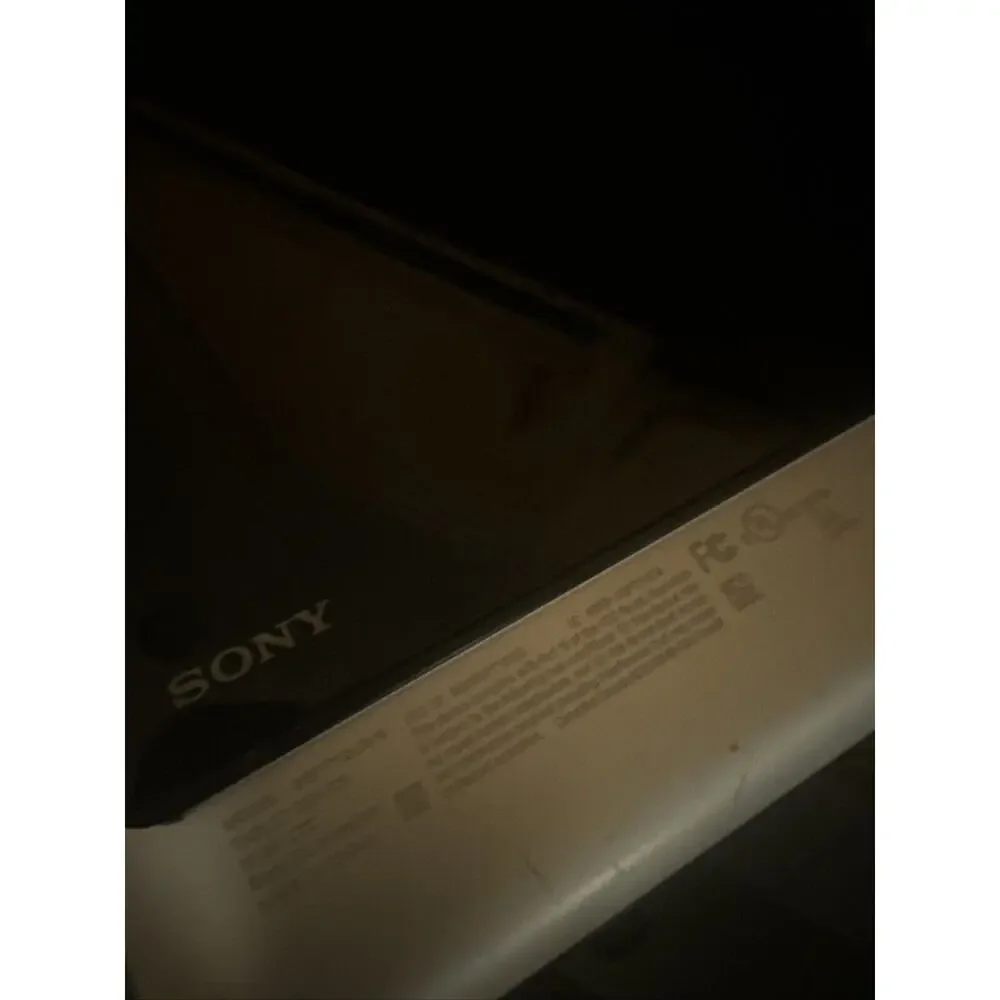 Sony both turn