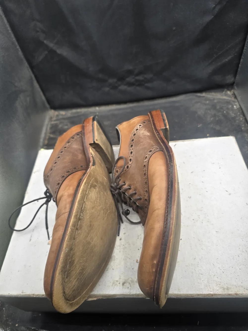 winthrop classic brown