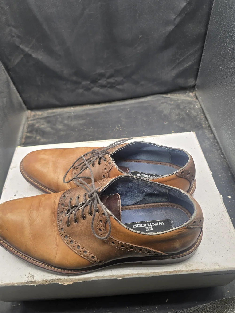 winthrop classic brown