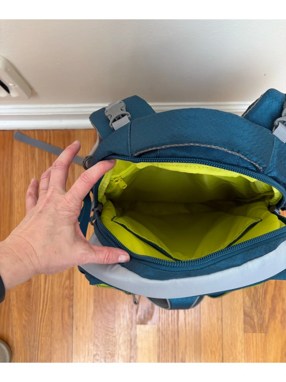 Kurgo owned backpack