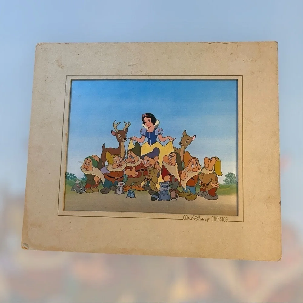 Disney commemorative memorabilia