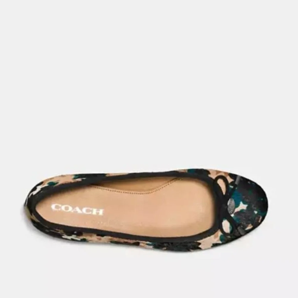 Coach brand model